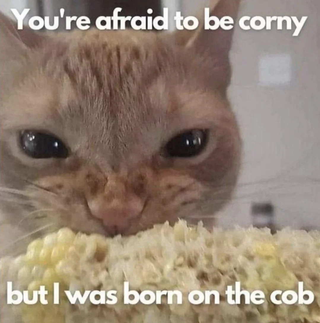 Image of cat chewing corn with the text 'You're afraid to be corny but I was born on the cob'